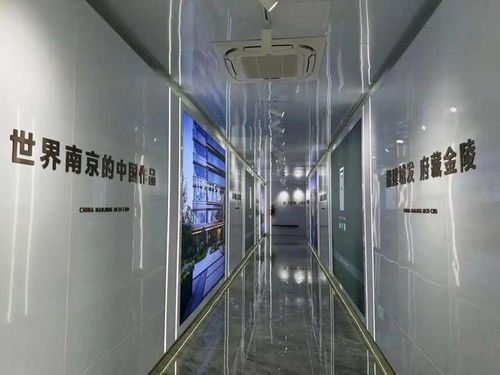 今天,南京某豪宅工地開放,有人這樣評價......